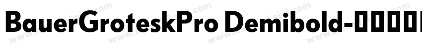 BauerGroteskPro Demibold字体转换